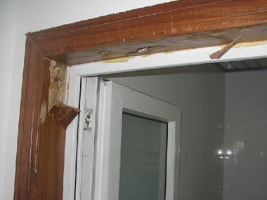 厚街白蚁预防中心白蚁防治在房屋室内装修中的重要性