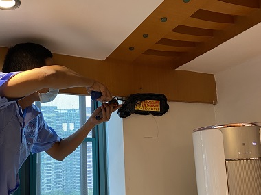 虎门白蚁防治中心白蚁防治有哪些常见误区